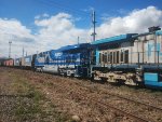 RUMO 9599